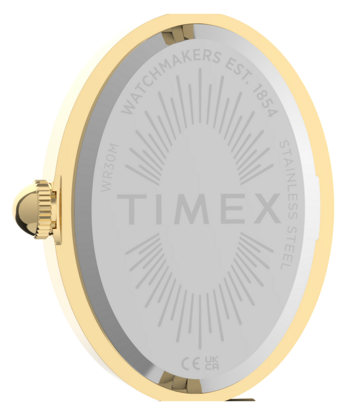 TW2Y86100 Cavatina® Luxe 22mm Stainless Steel Watch   Caseback Image