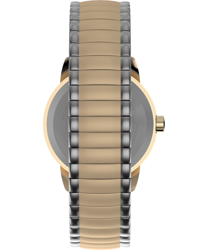 T2H491 Easy Reader® 25mm Bracelet Watch Strap Image
