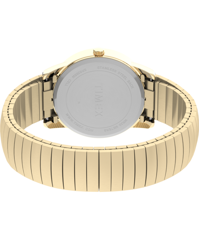T2H301 Easy Reader 35mm Expansion Band Watch Caseback with Attachment Image