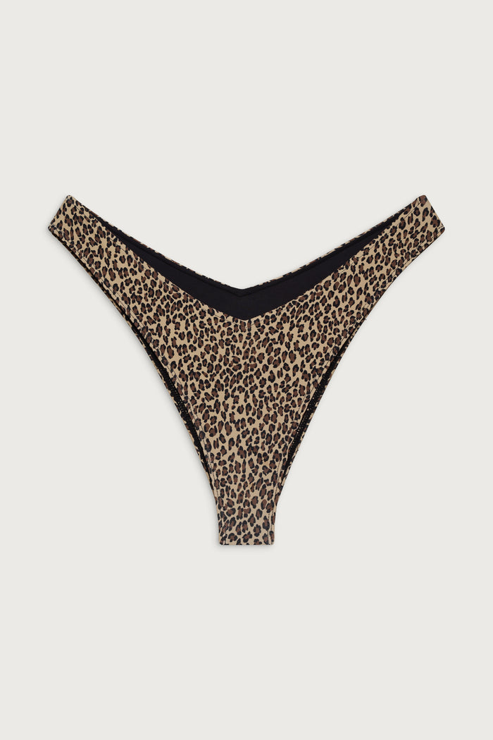Enzo cheeky bikini bottom baby leopard