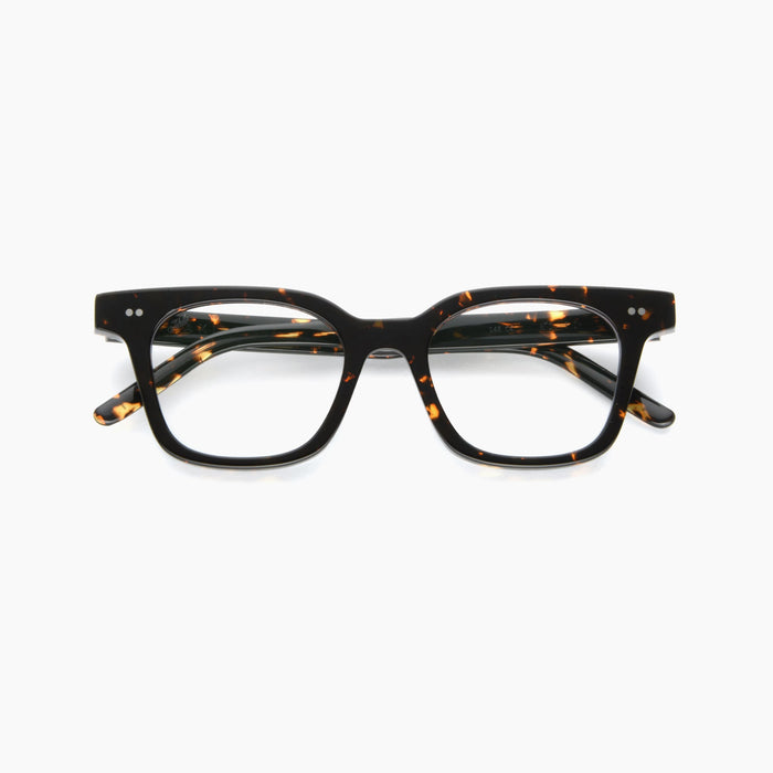 Tokyo Tortoise