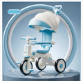 Imported 3-in1 Tricycle with Parent Handle & Canopy - 610D