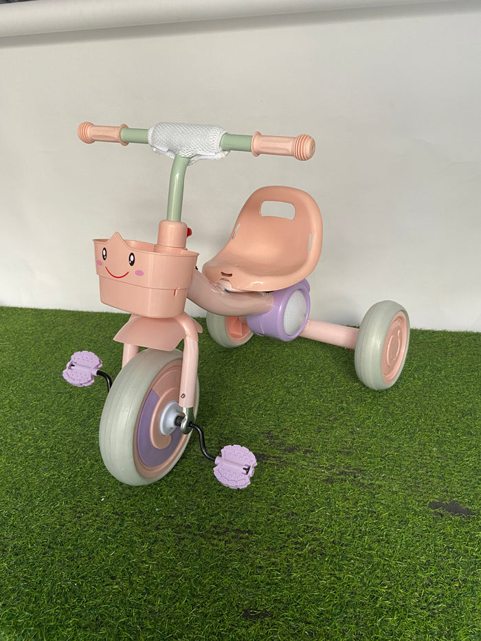 Imported Cute Baby Tricycle - T036