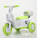 Imported Electric Fiber Body Bike - S899