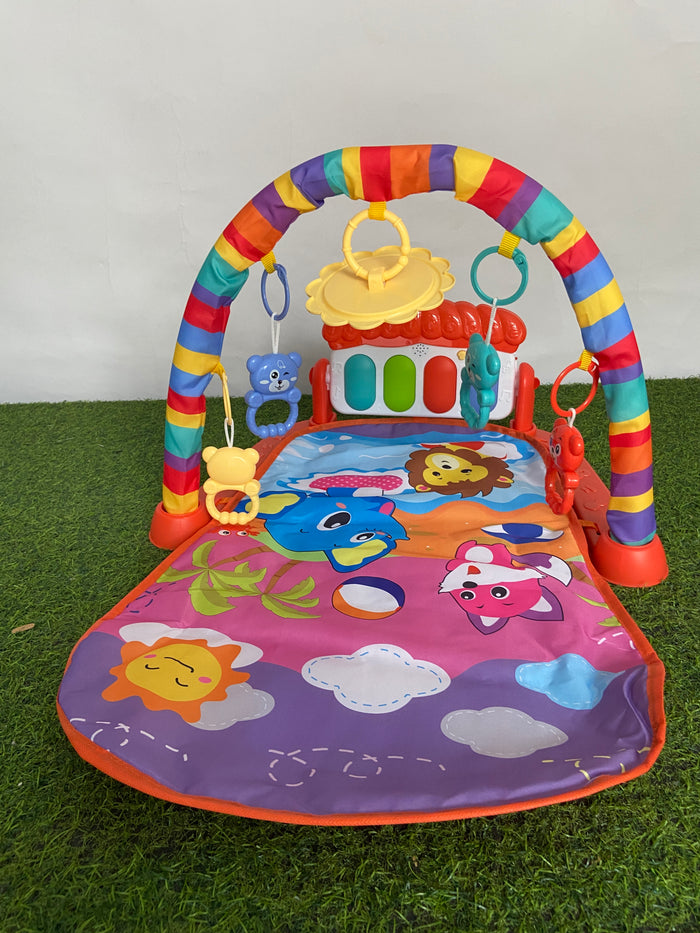 Imported Fitness Piano Rack - 226-43