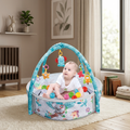 Imported Multifunctional Play Gym - 73152