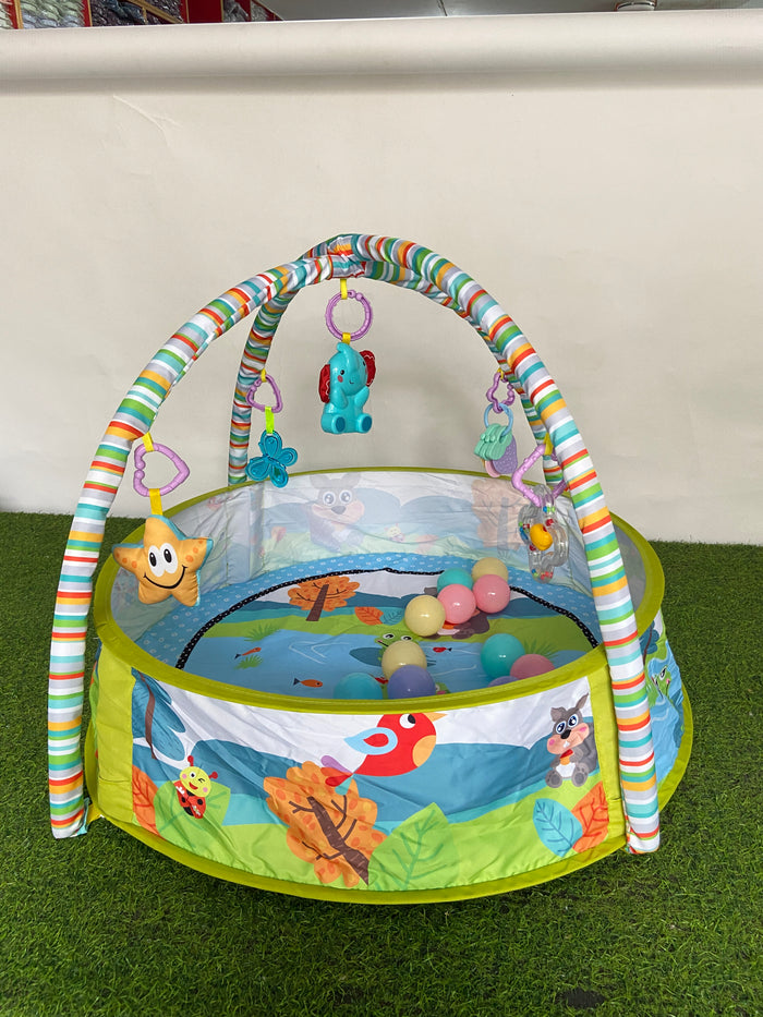Imported Multifunctional Play Gym - 73152