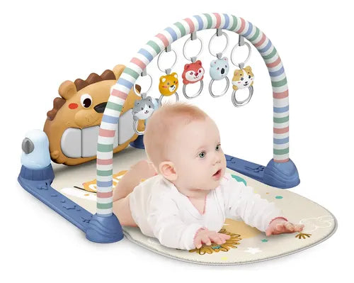 Imported Premium Piano Fitness Gym -  7001