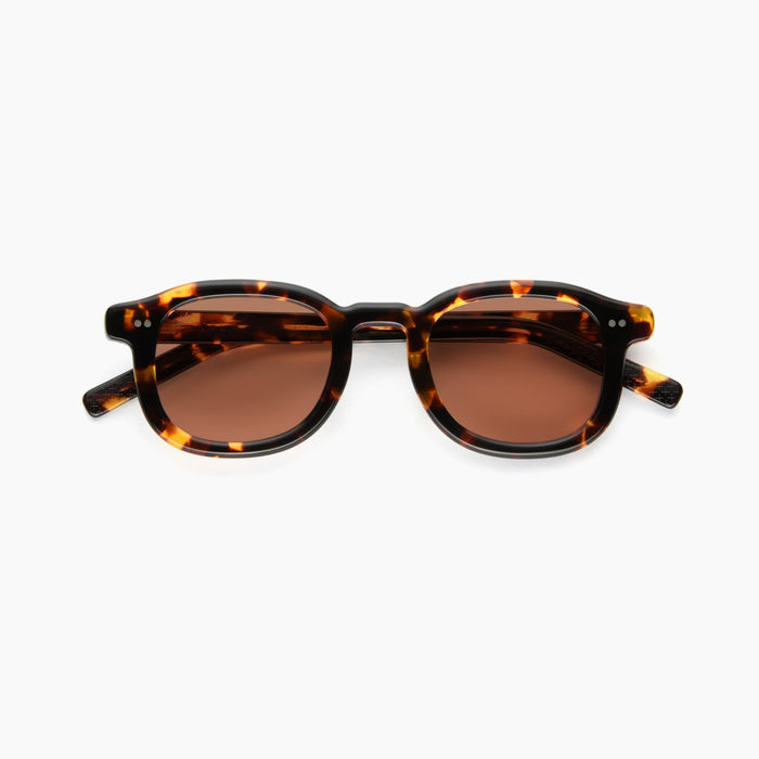 Tokyo Tortoise / Light-Adaptive Peach