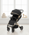 Premium Multifunctional Stroller + Mother-face - EM103
