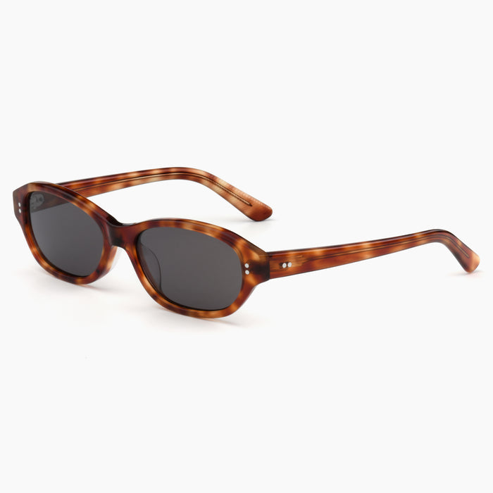 Toffee Tortoise / Asphalt
