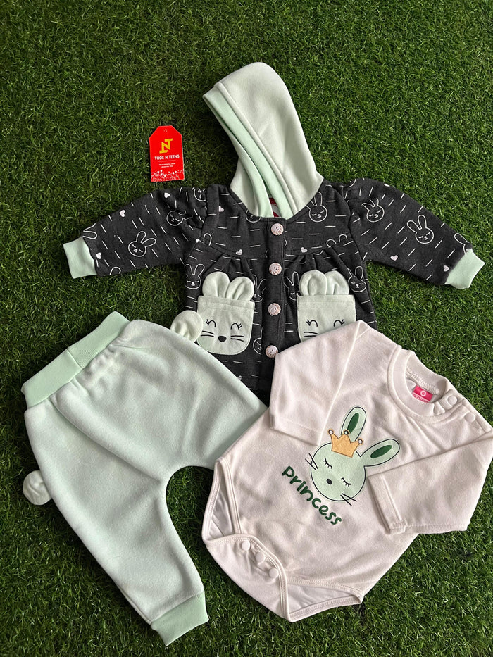 RL02-Winter Dress (3-12M)