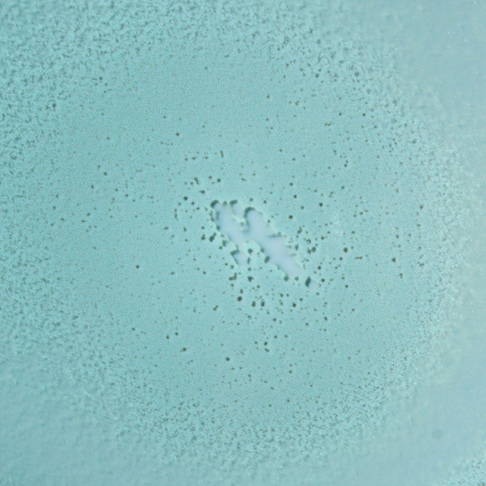Close-up of SPF 30 Mineral Fragrance-Free Non-Aerosol Spray showcasing its texture on a turquoise background